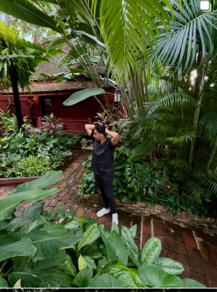 Tropical greenery